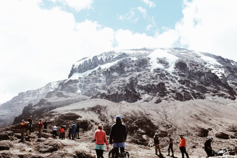 kilimanjaro view of the mountain