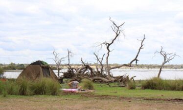 A tent beside a tall tree on grassy land, with a serene body of water in the background. During a private camping safari