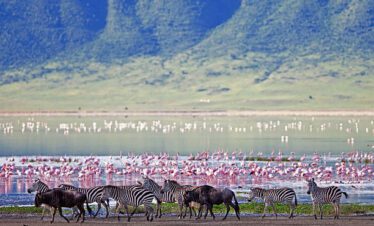 ngorongoro creater