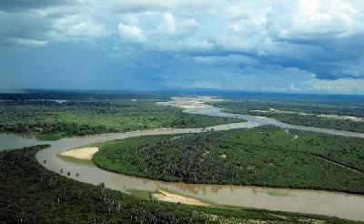 Full-Day Game Drive & Walking Safari