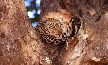 camping safari from dar es salaam