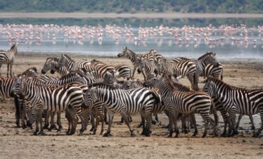 The beauty of Ngorongoro Crater