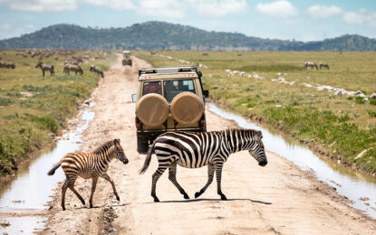 How to Combine Safari with a Zanzibar Beach Stay.