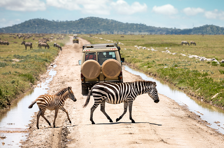 Serengeti-National-Park-Tanzania jeep