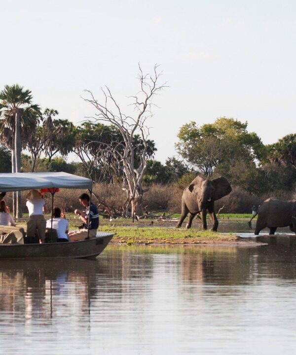 Tanzania Camping Safari From Dar es salaam boat safari