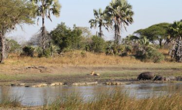 camping safari from dar es salaam