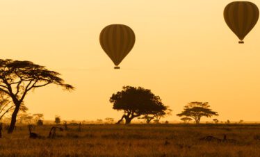 serengeti baloon safari