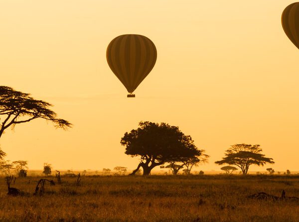 serengeti baloon safari