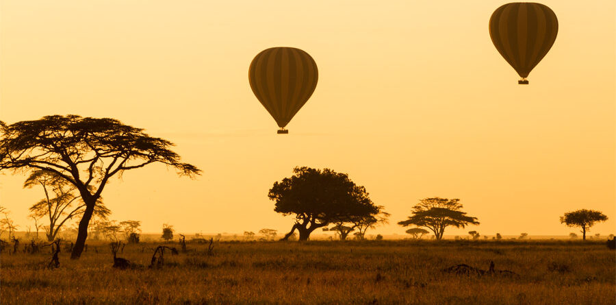 serengeti baloon