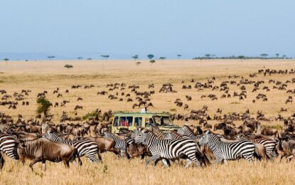Unveiling the Allure of Private Tanzania Safaris: A Personalized Expedition into the Wild