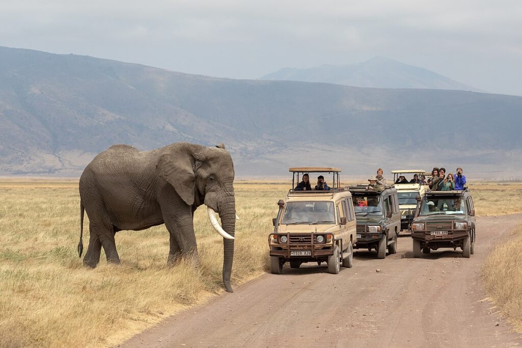 Ngorongoro Conservation Area Tours