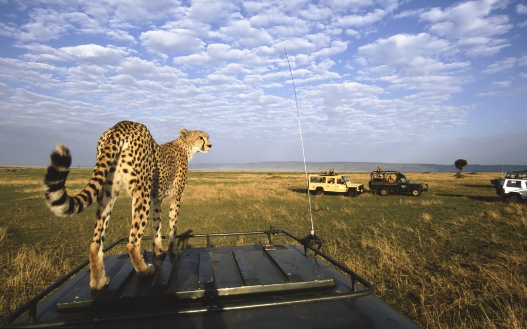 Serengeti Safari  in April 