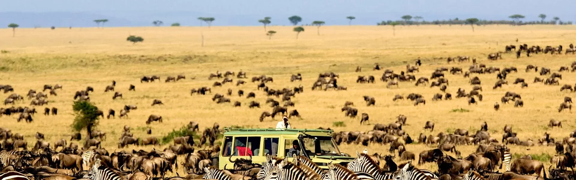 Serengeti safari Tours