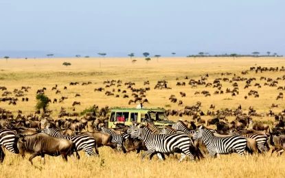 Serengeti in April – What to explore and How to Prepare ?