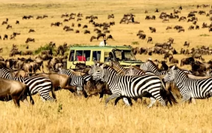 Serengeti in April – What to explore and How to Prepare ?