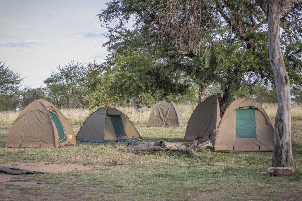 Tarangire National Park Camping Options