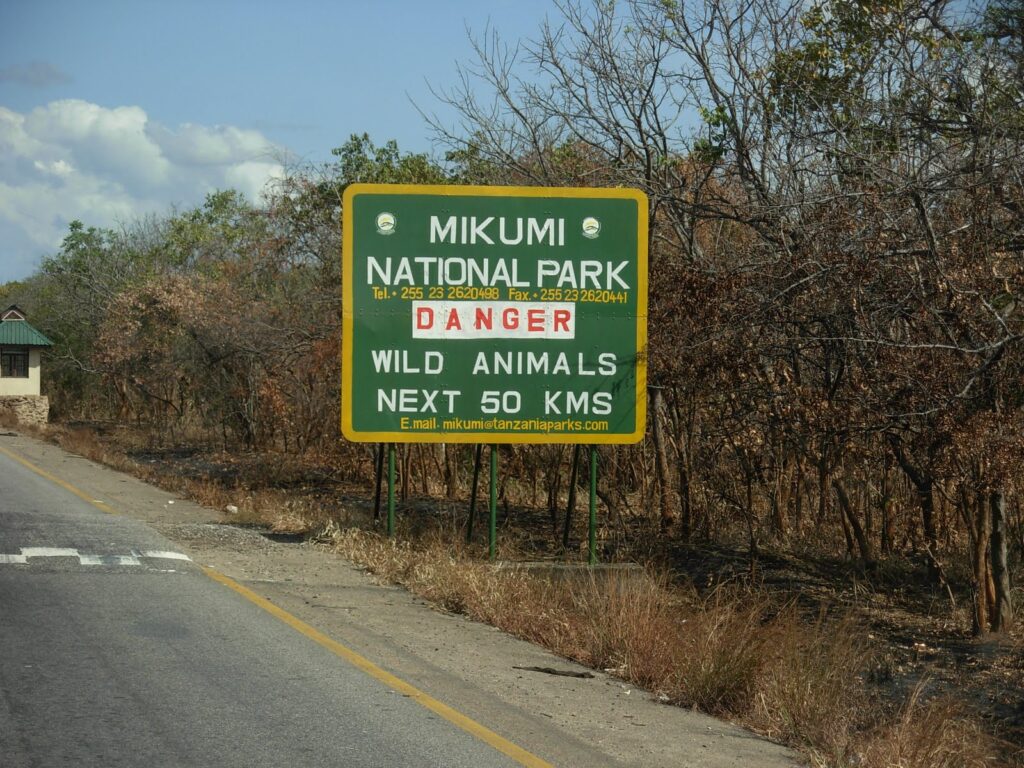 Mikumi National Park Safaris