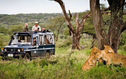 Embracing the Magic of the Rainy Season: Your Guide to a Memorable Safari with Otto Safari Guide