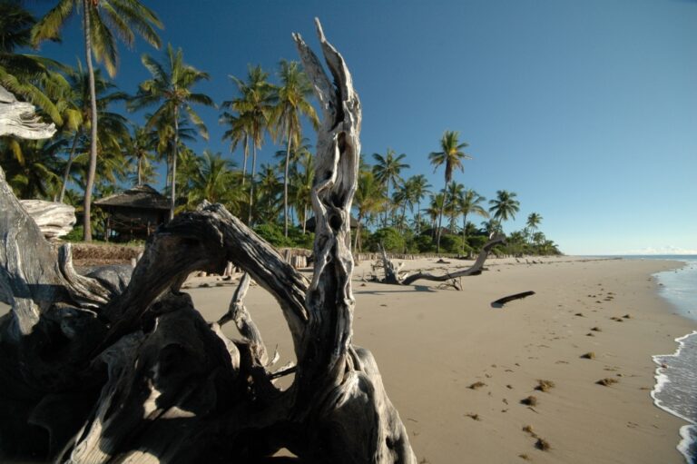 Saadani, 20min flight from Zanzibar and 40 min from dar es salaam