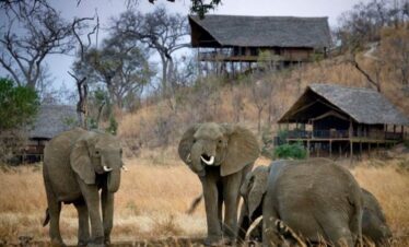 southern tanzania safari cost