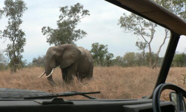 1 day safari to mikumi by sgr train