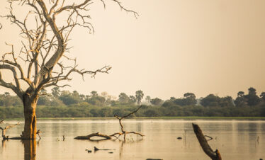 a view of lake manza taken by our costom how books tanzania zanzibar safari packeges