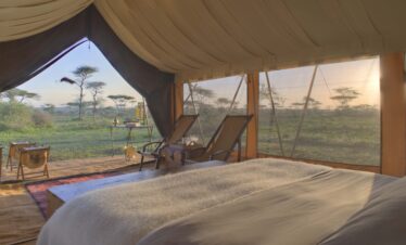 Safari from Zanzibar to Serengeti