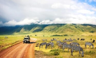 6 days safari to serengeti and ngorongoro
