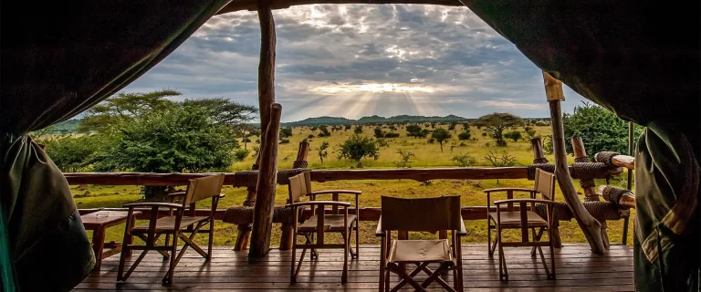 ACCOMMODATIONS IN SERENGETI NATIONAL PARK