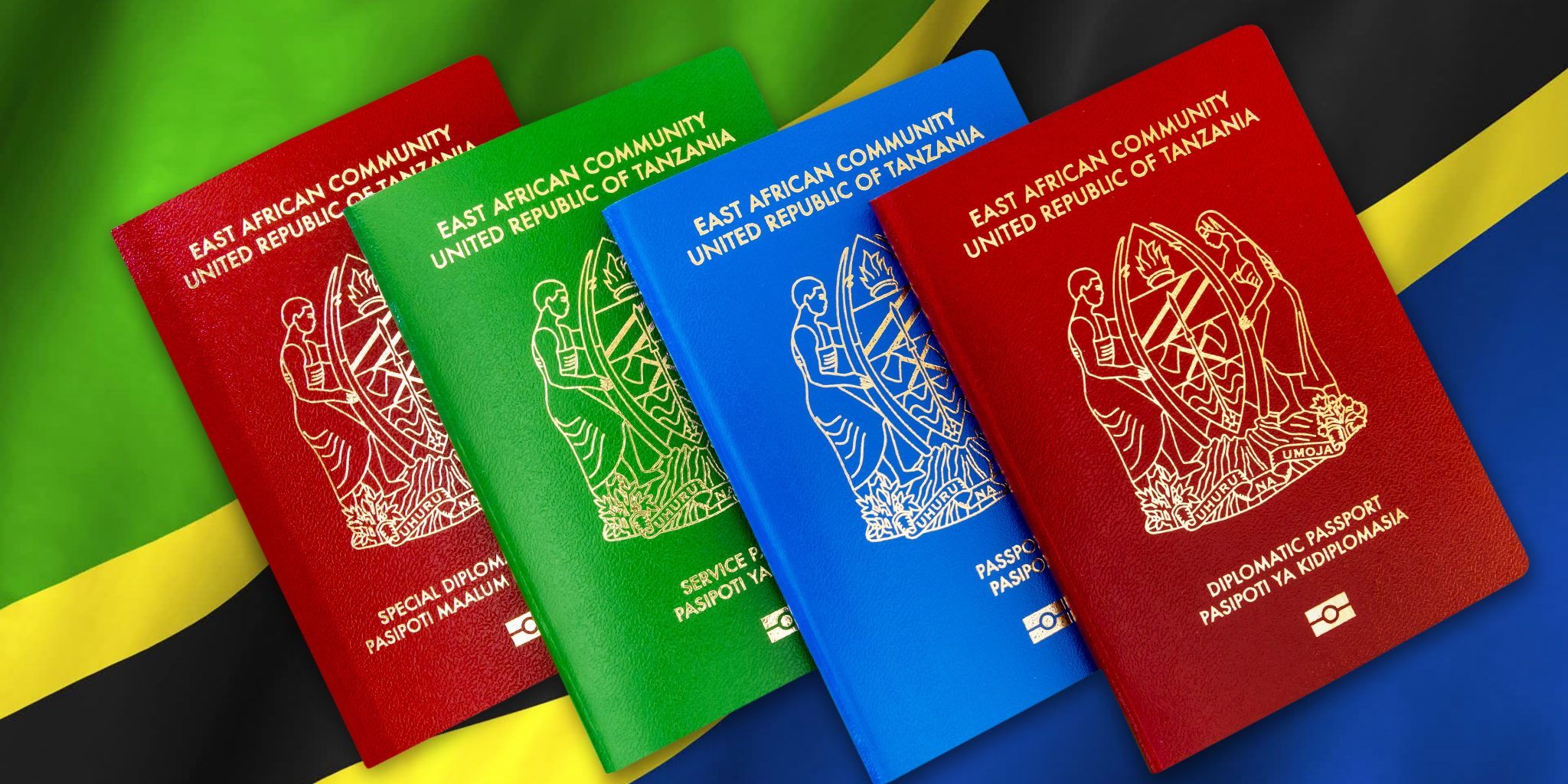 tanzania e visa