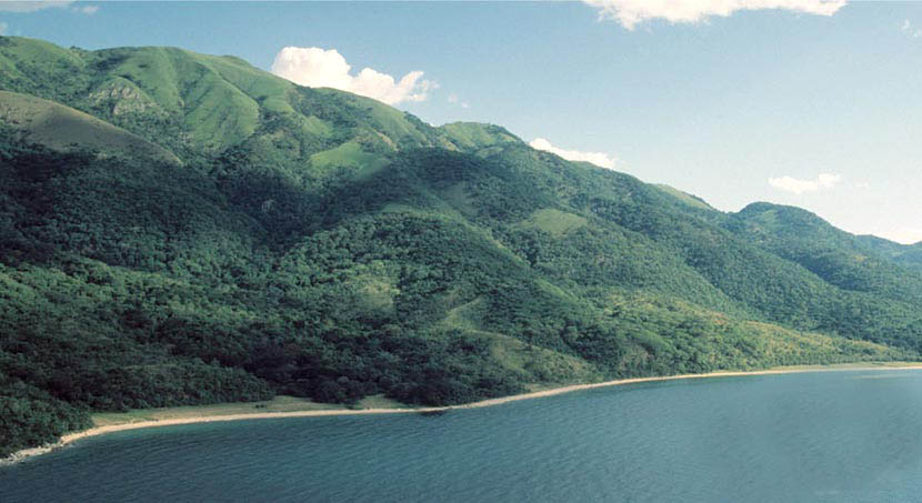 Fly to Kigoma & Transfer to Gombe