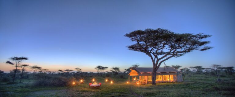 How Much Does a Safari to Serengeti Cost?