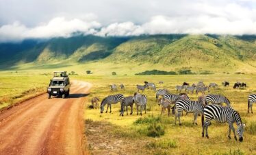 tanzania safari and zanzibar