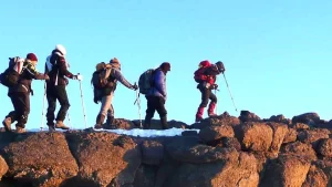 guest on kilimanjaro climbing route