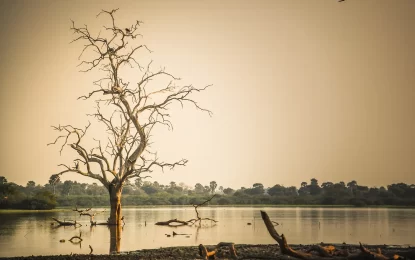 Southern Tanzania Safari vs Northern Tanzania Safari: Which Is Better?