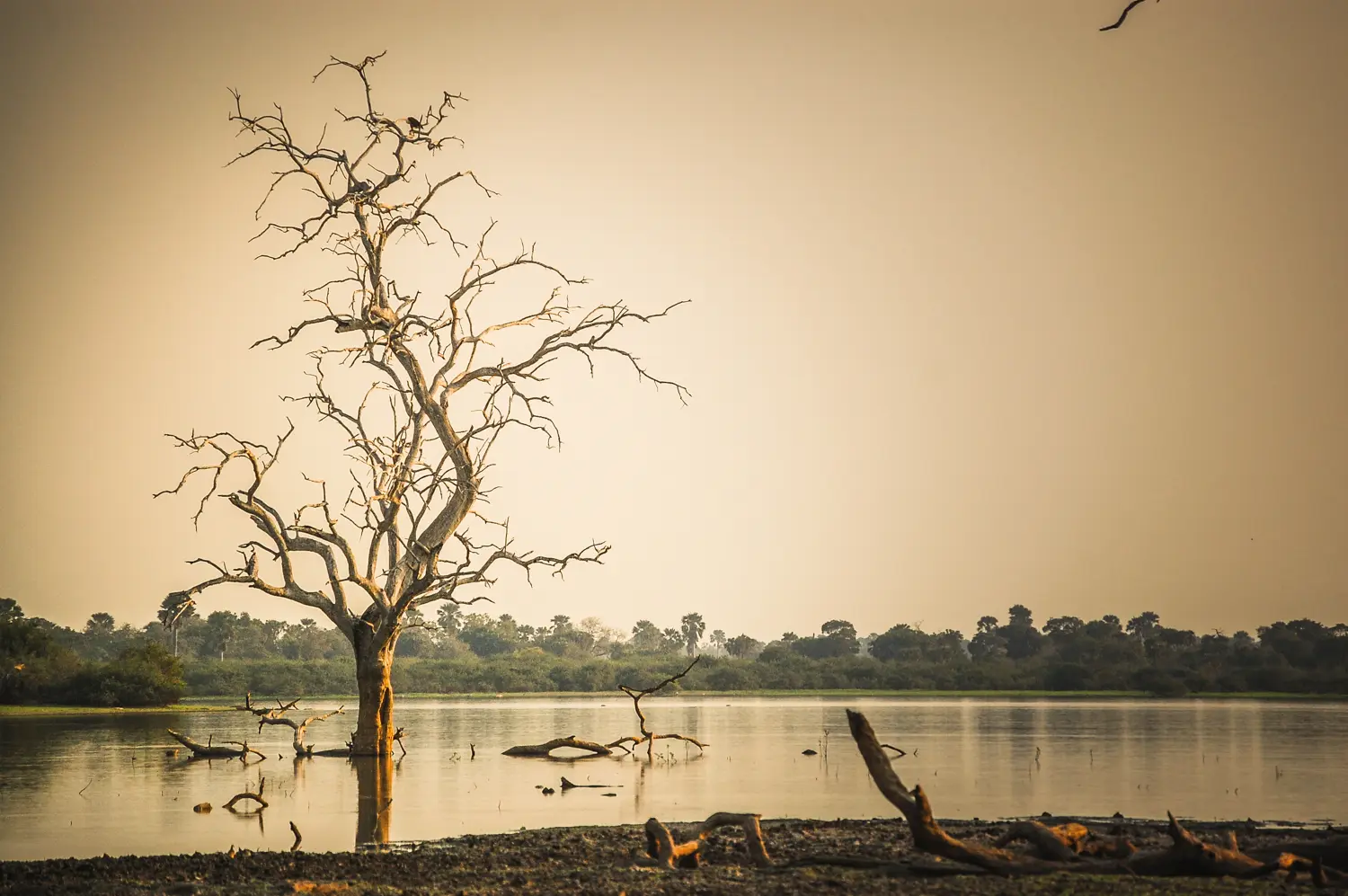 Tanzania private camping safari — mobile camping adventure under African skies