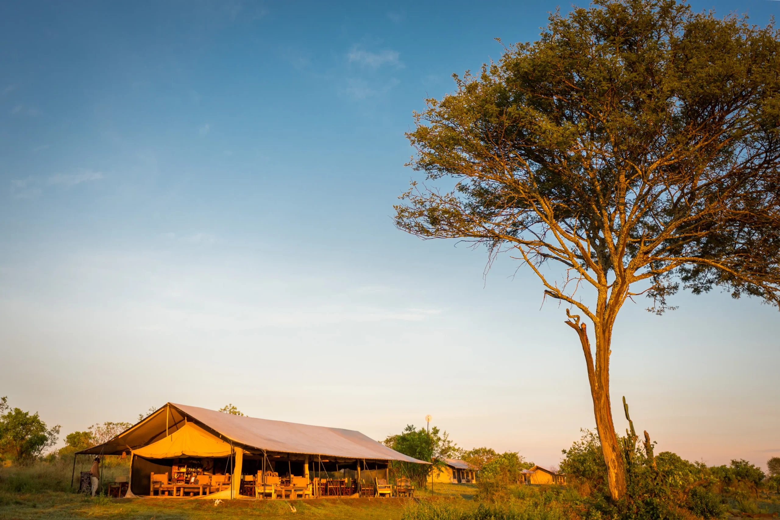 Gnu Mara River Migration Camp