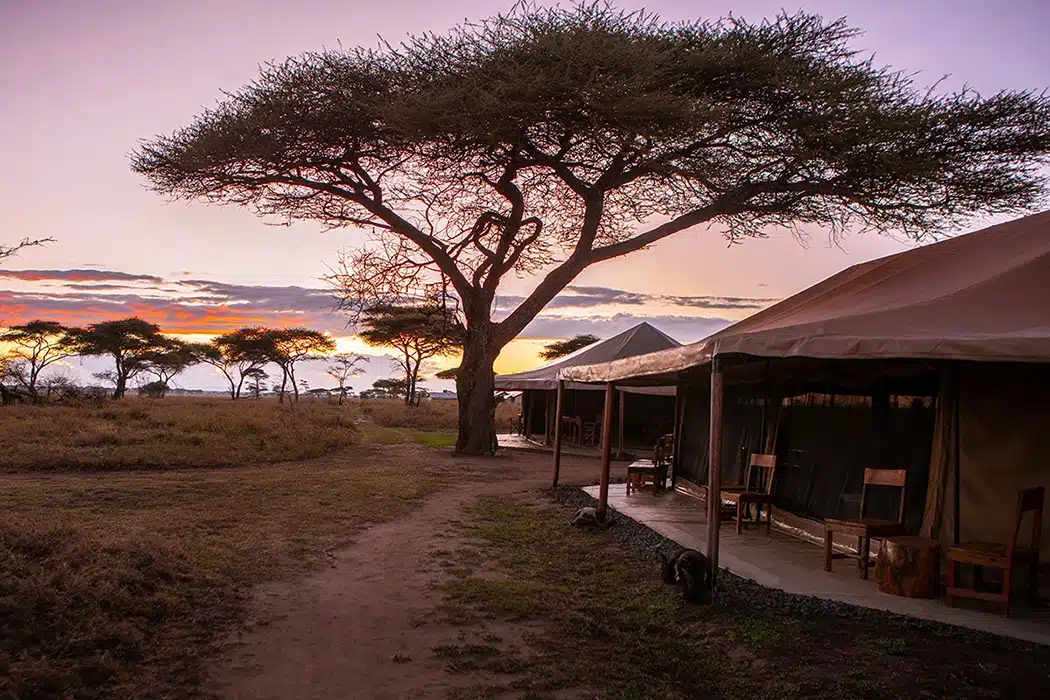 Mawe Tented Camp