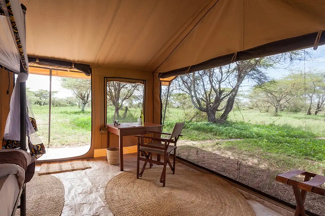 Gnu Ndutu Migration Camp​