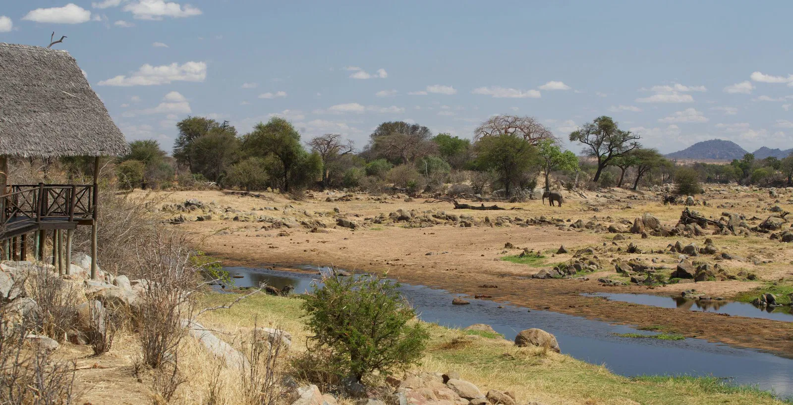 Ruaha River Lodge