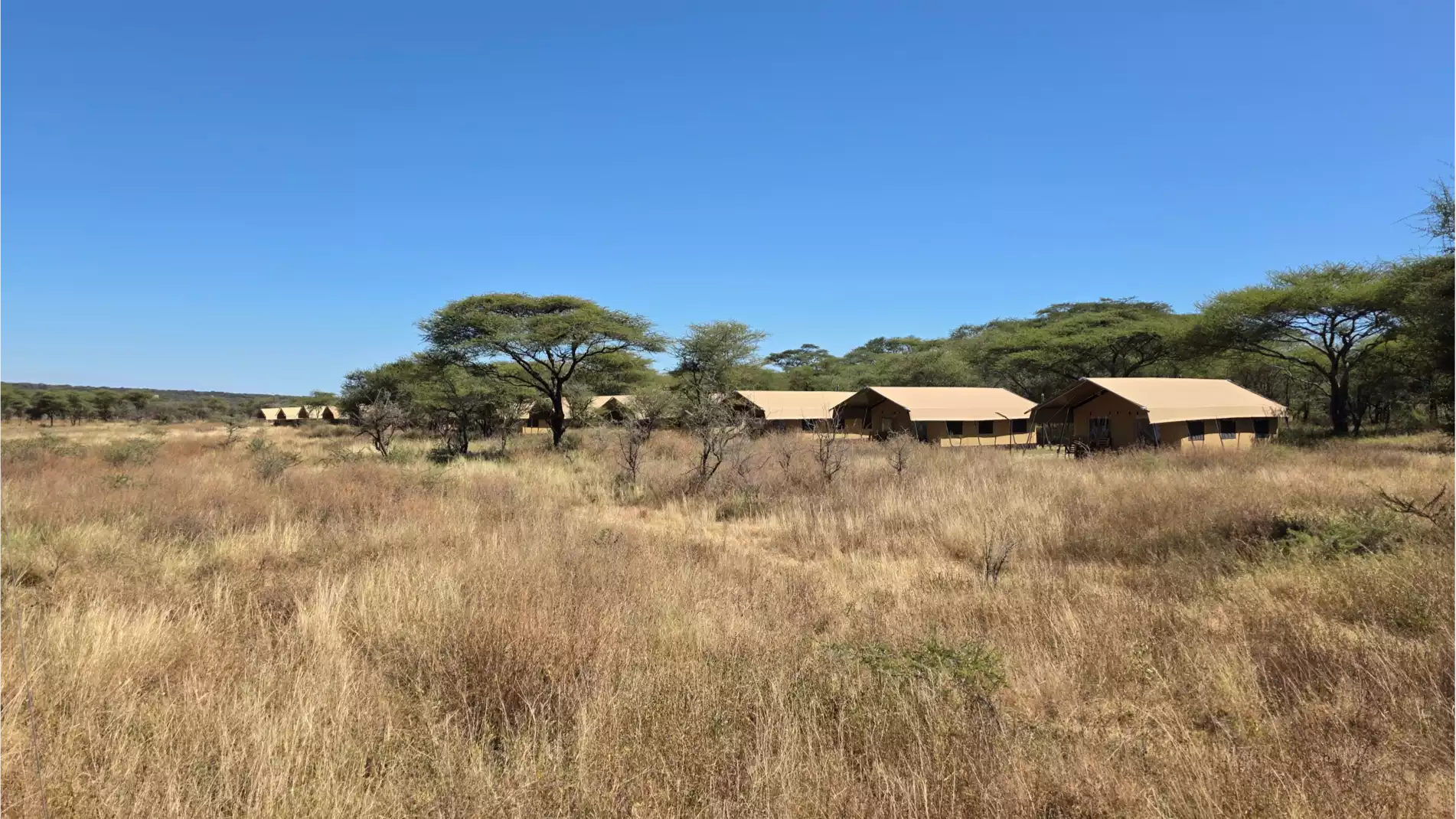 Exterior view of Africa Safari Serengeti South