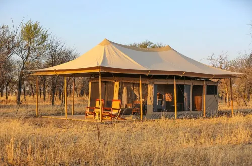 Golden Safari Camp