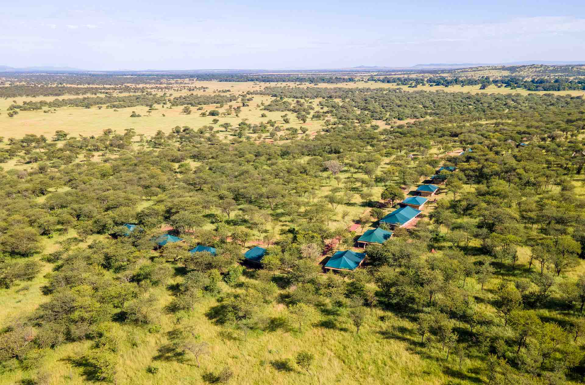 Tukaone Camp Central Serengeti Tanzania
