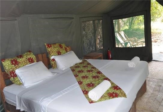 Hondo Hondo forest tents