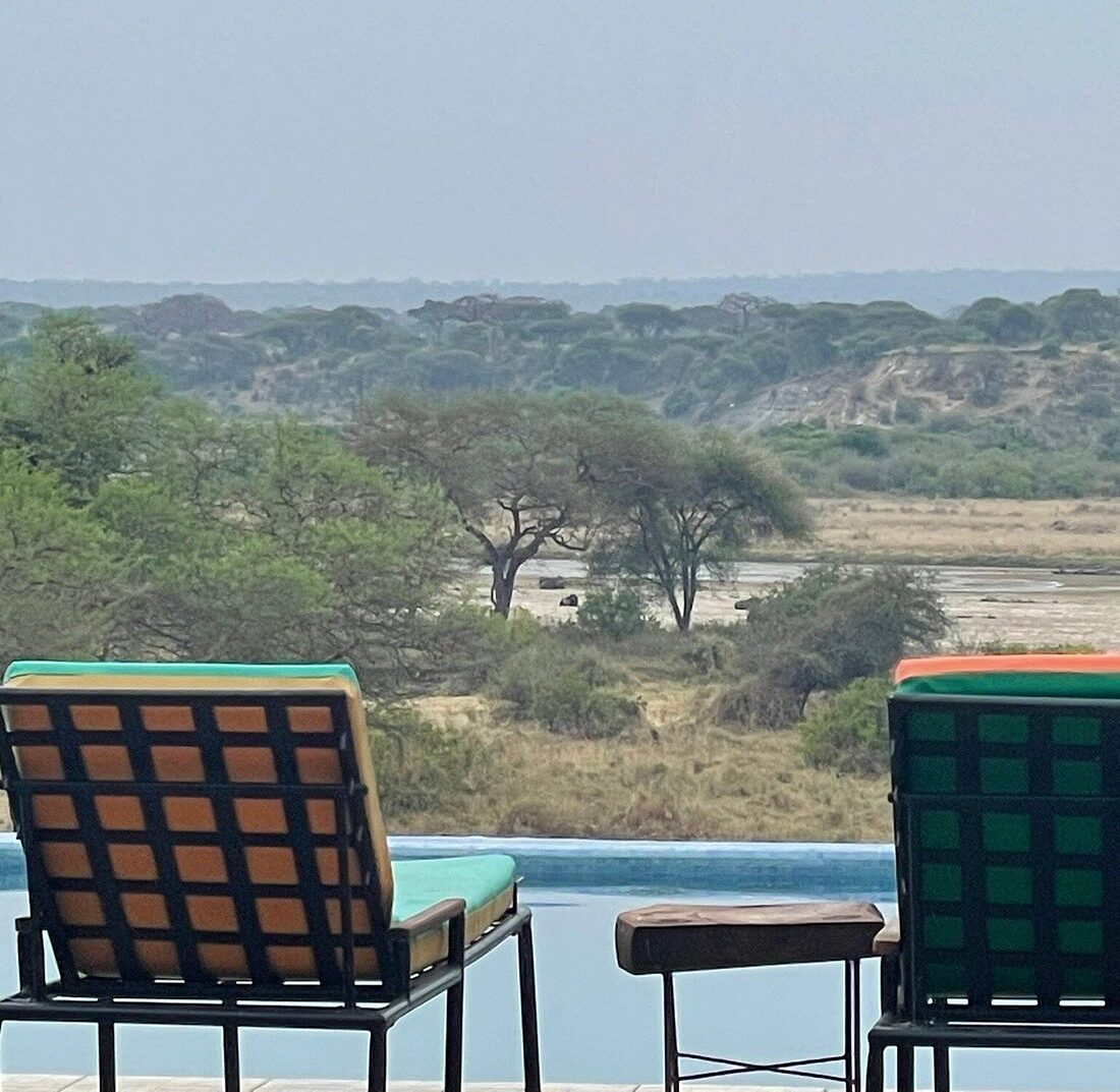 osupuko view and wildlife