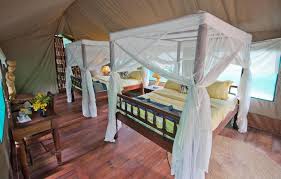 Gombe Forest Lodge rooms