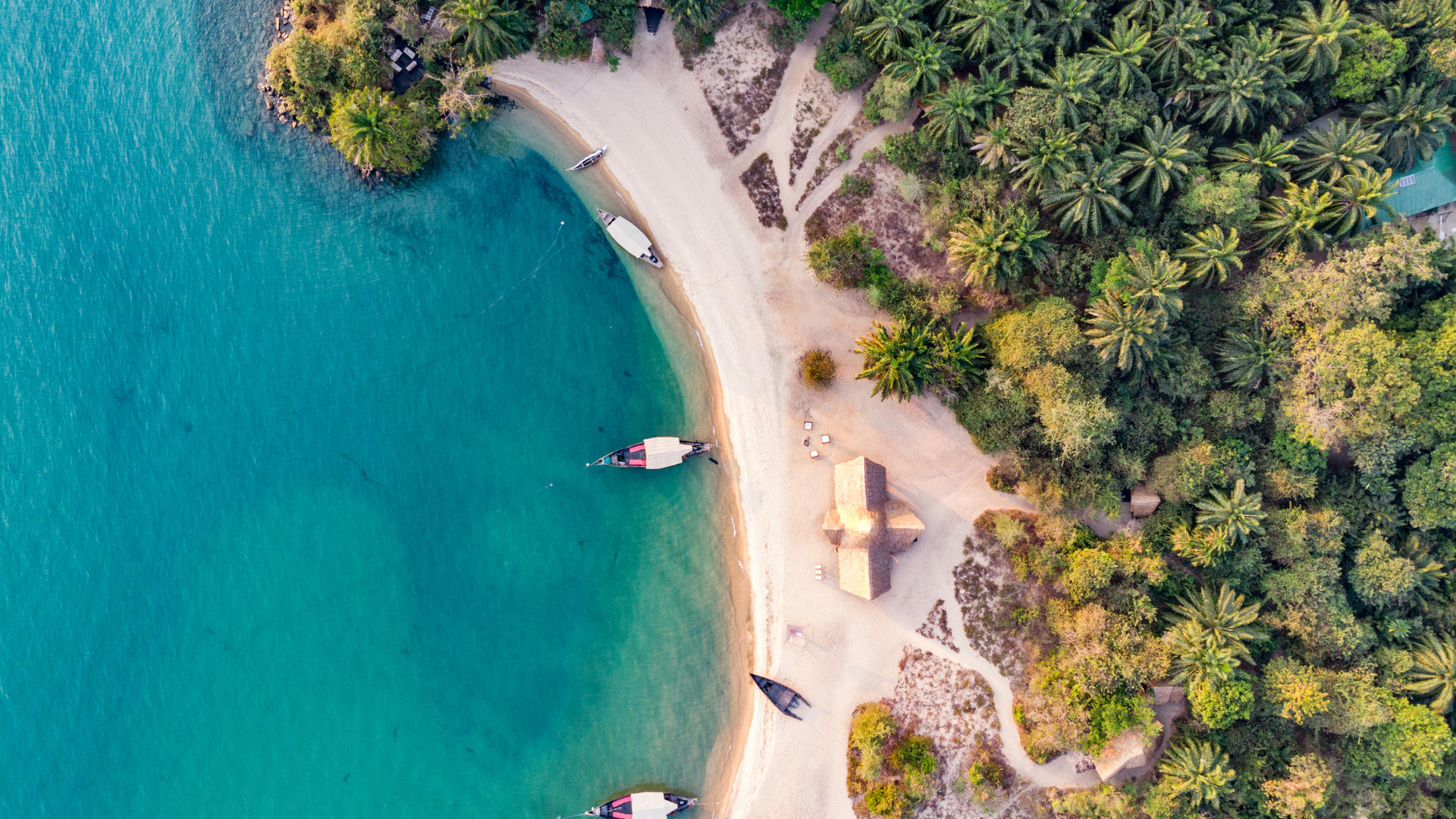 Greystoke Mahale bandas