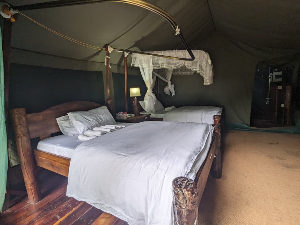 Camp setting in forest