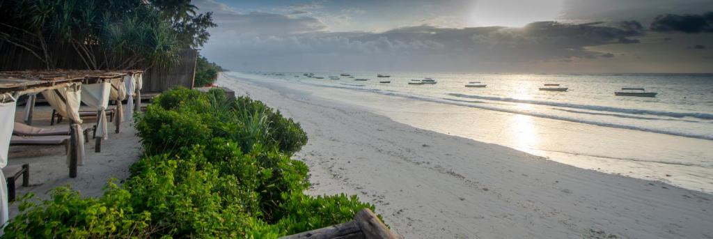 Pool area Villa Kiva