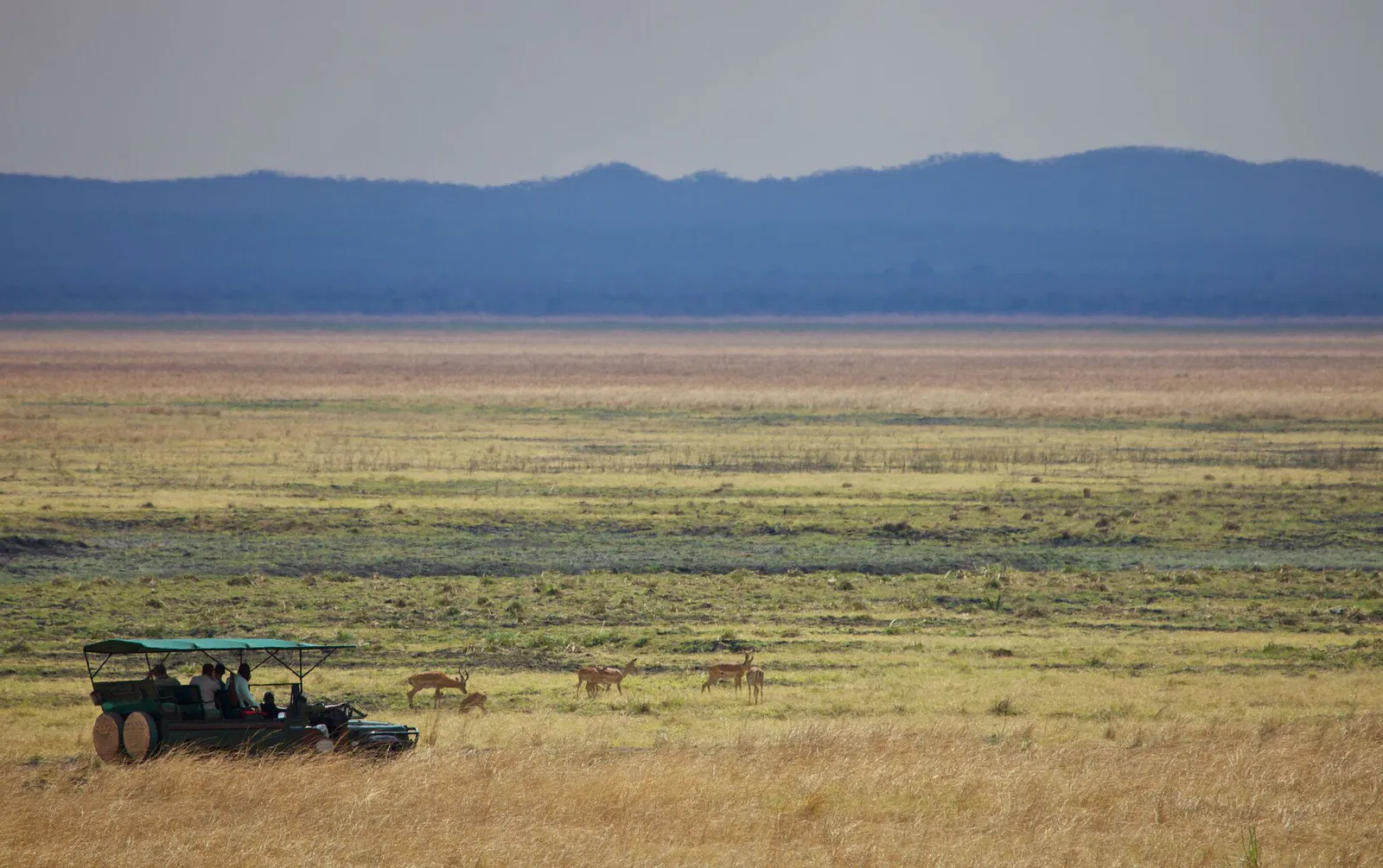 Katavi Wildlife Camp